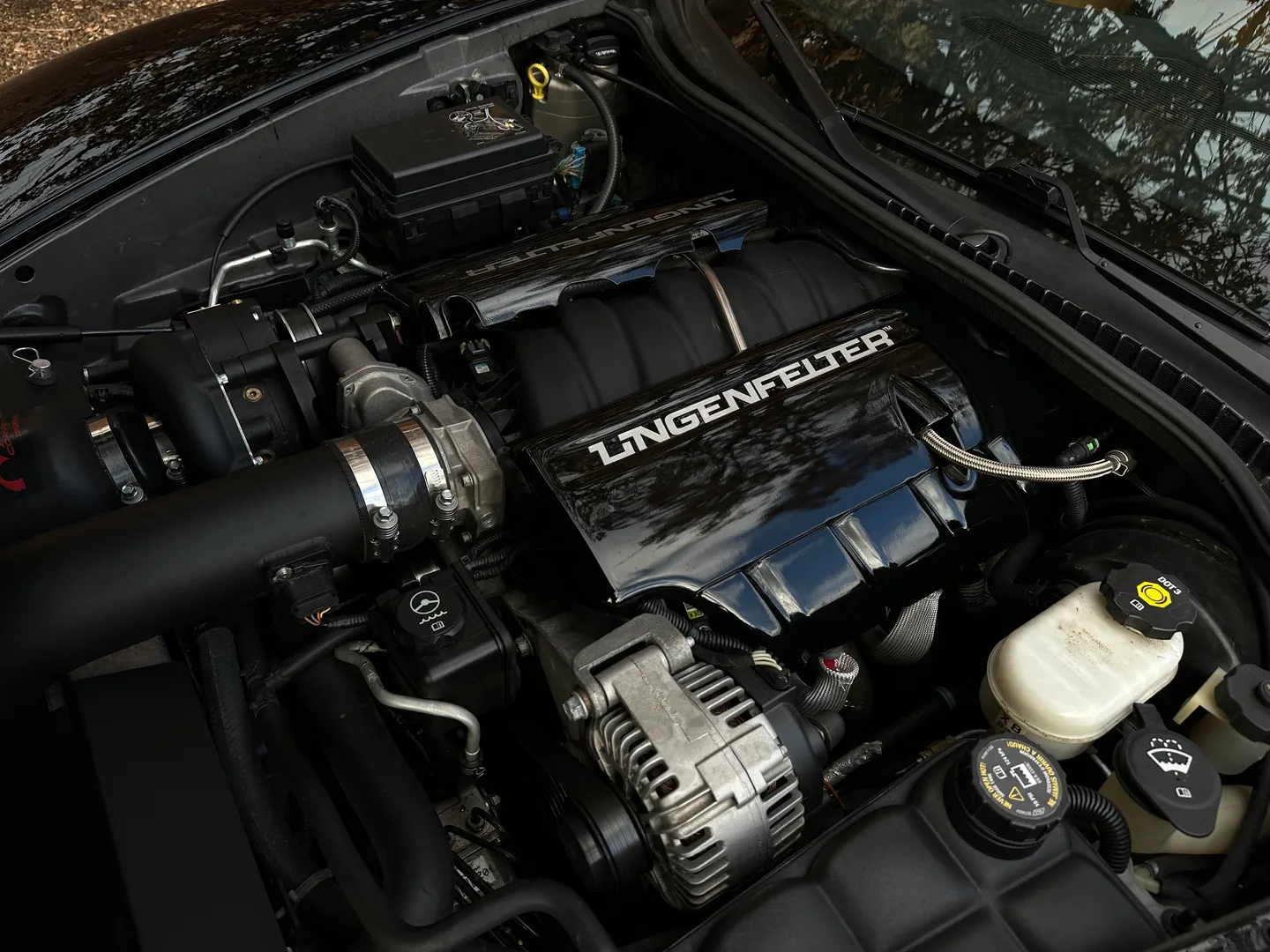 Chevrolet Corvette Z06 Caravaggio  — photo 29