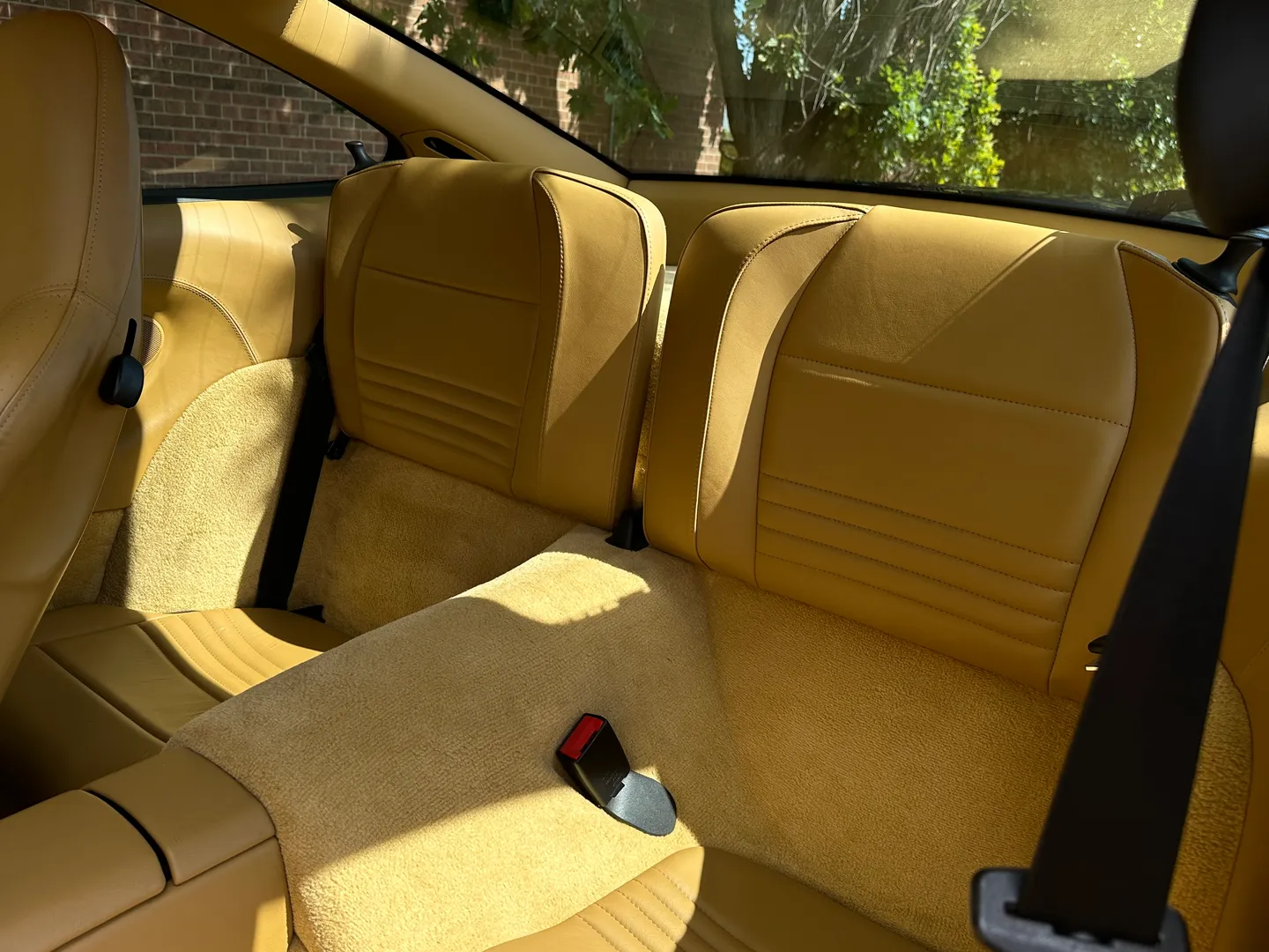 Porsche 911 Turbo 6 Speed Manual Coupe — photo 40