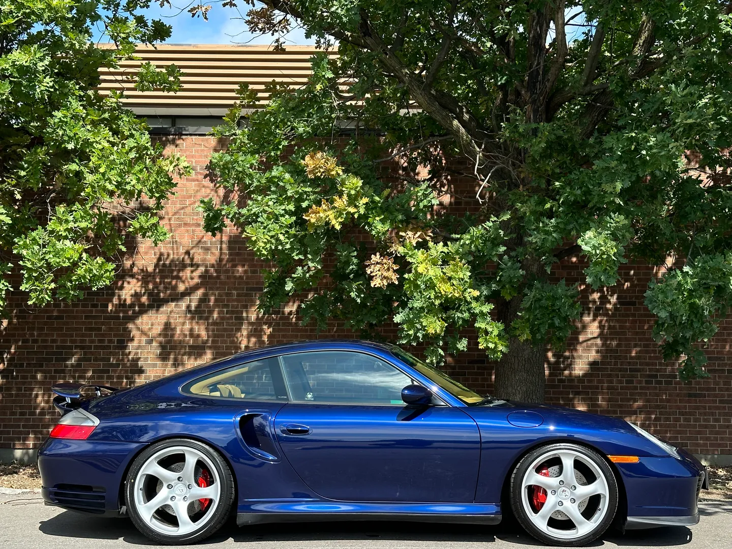 Porsche 911 Turbo 6 Speed Manual Coupe — photo 66