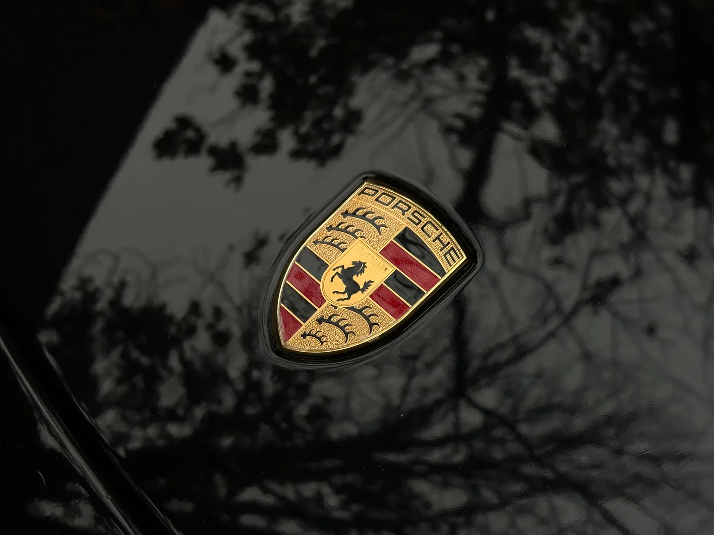 Porsche 911 Carrera GTS Coupe — photo 8