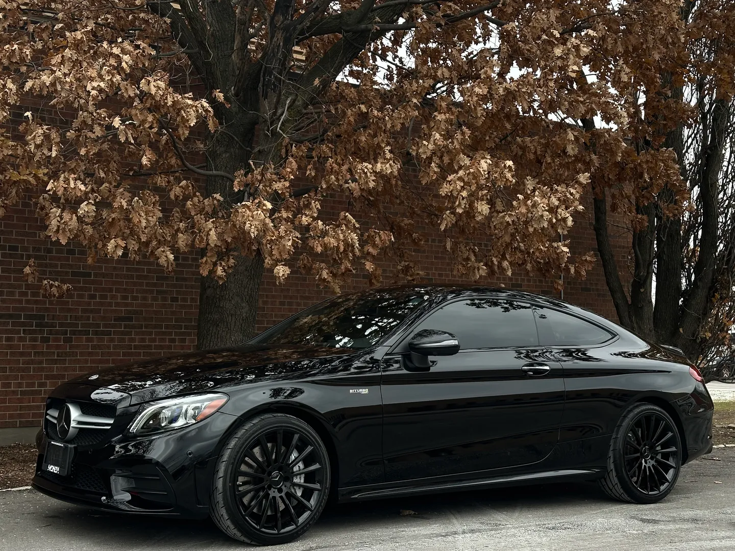 Mercedes Benz C43 AMG Coupe  — photo 8