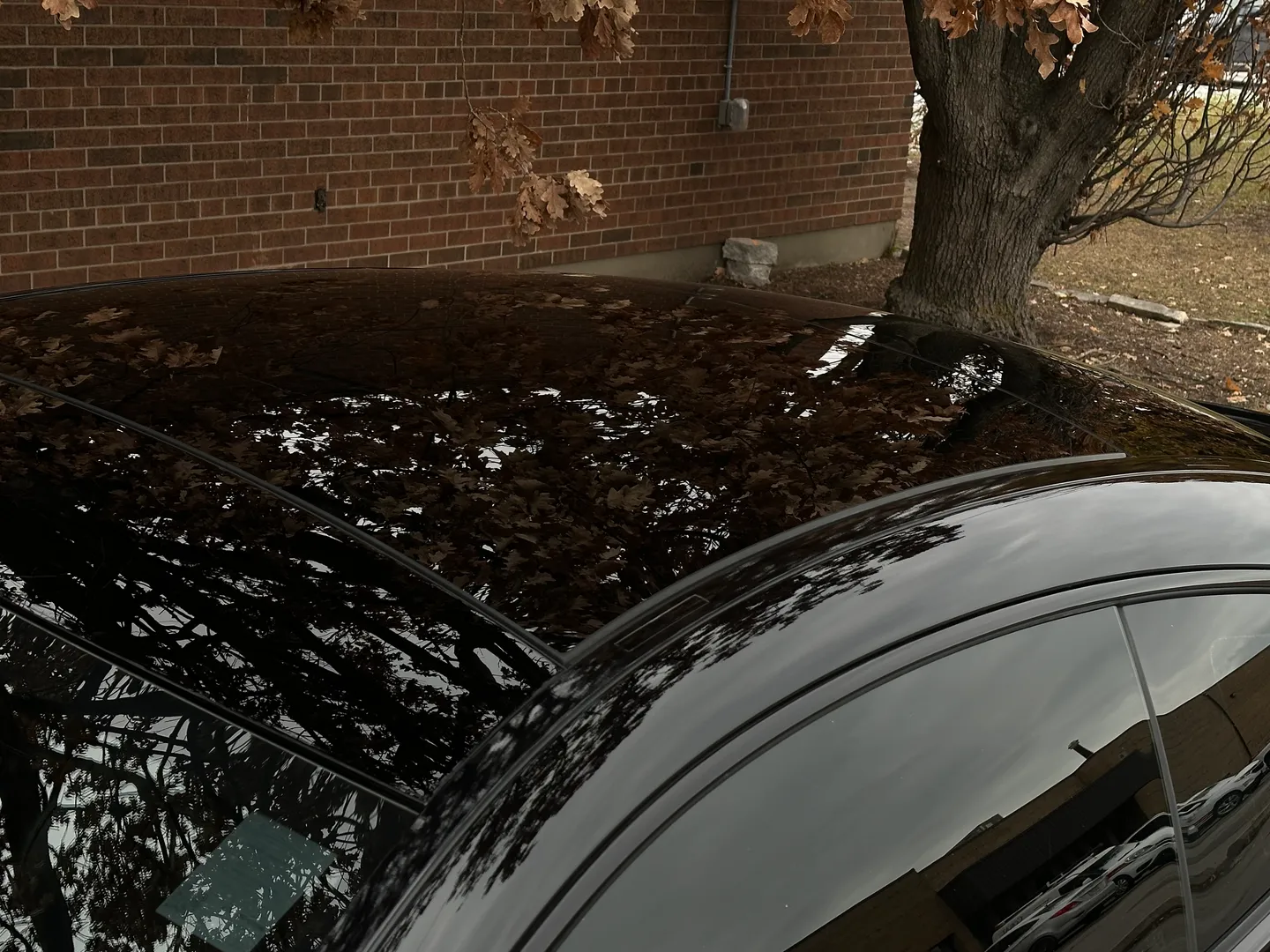 Mercedes Benz C43 AMG Coupe  — photo 16