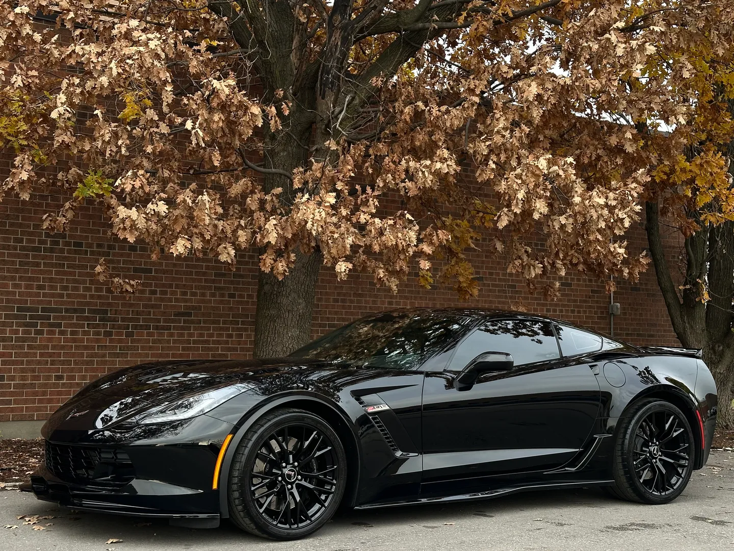 Chevrolet Corvette Z06 3LZ Coupe — photo 8