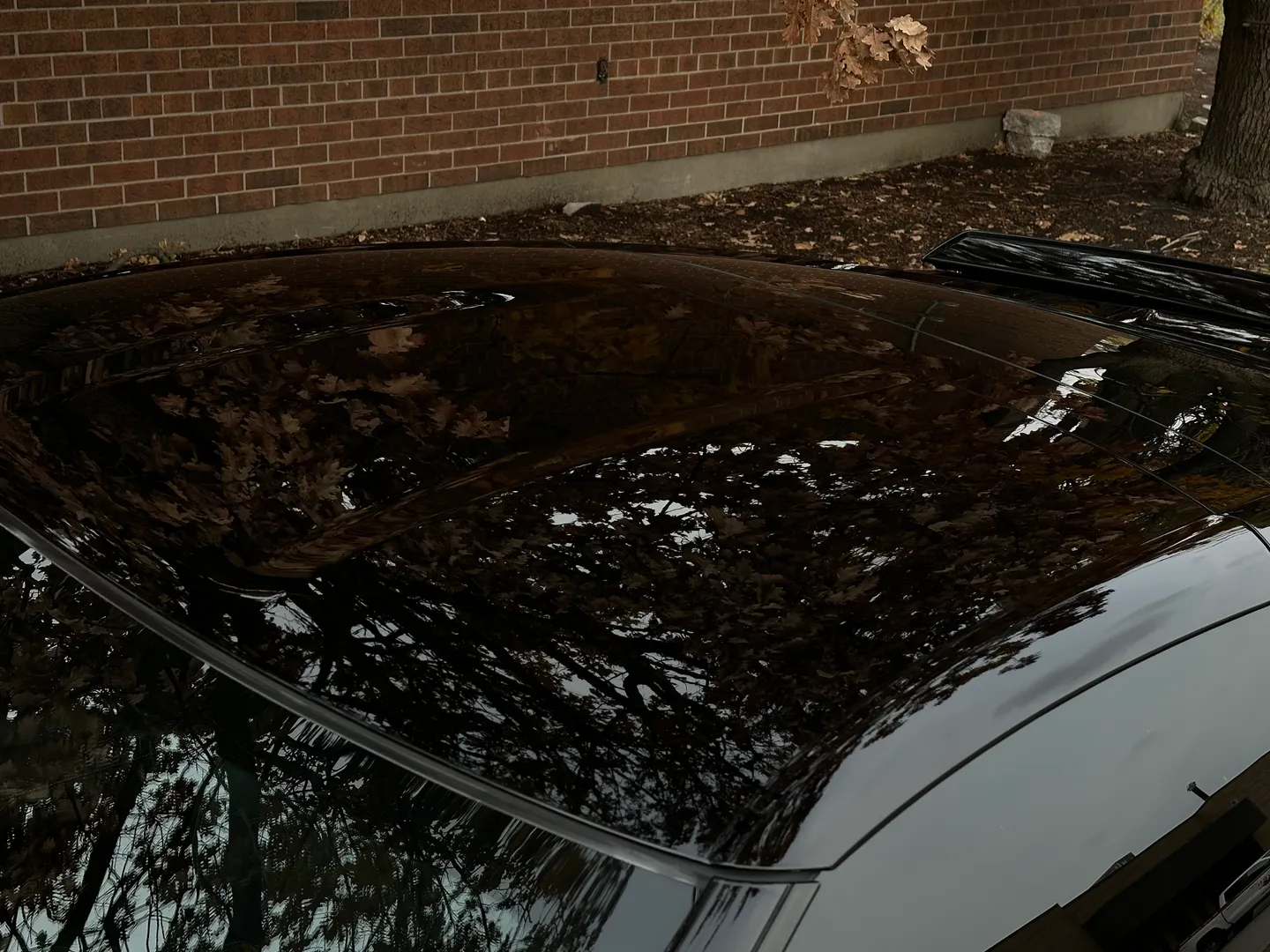 Chevrolet Corvette Z06 3LZ Coupe — photo 18
