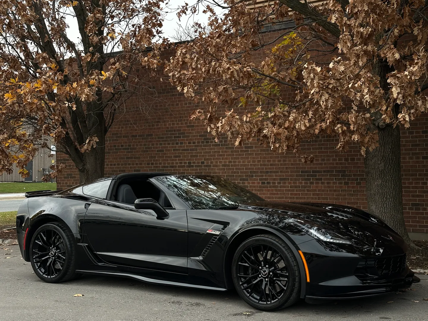 Chevrolet Corvette Z06 3LZ Coupe — photo 94