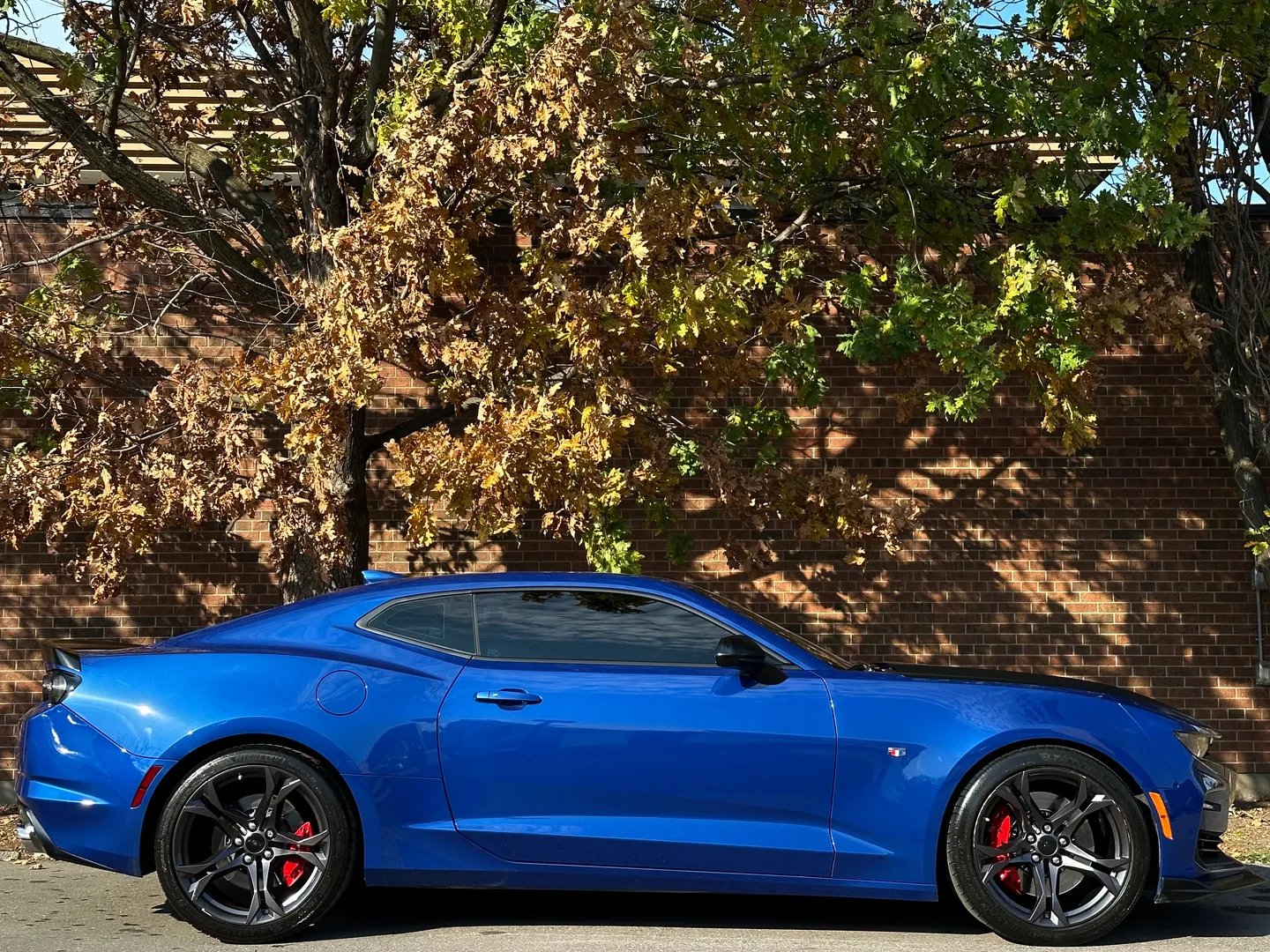 Chevrolet Camaro SS 1LE Package — photo 79
