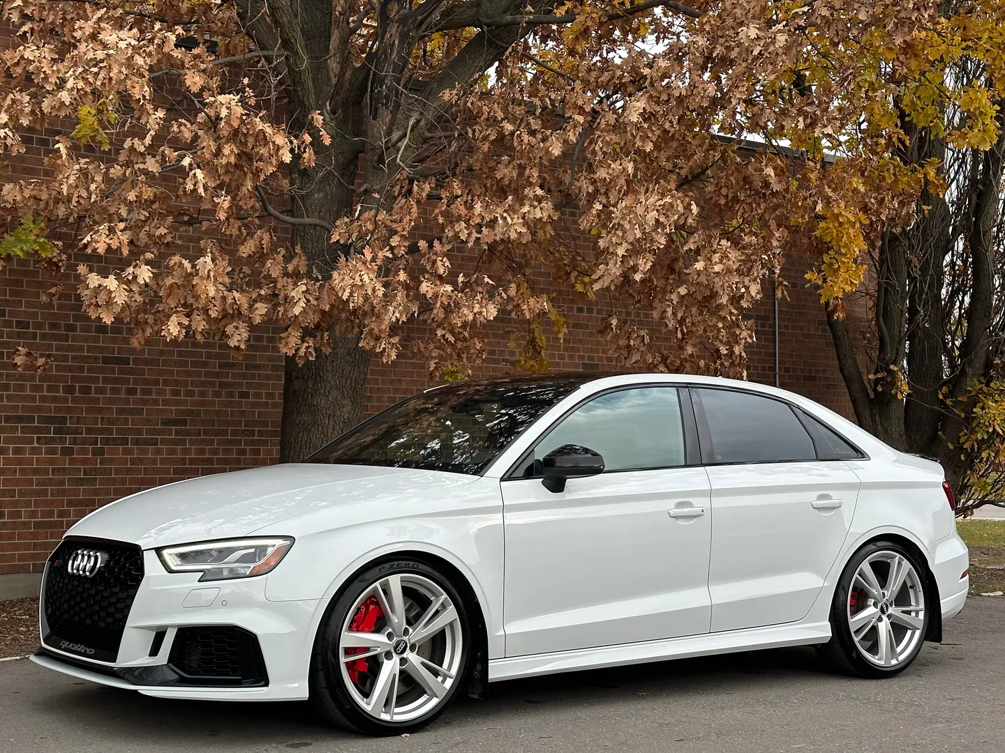 Audi RS3  — photo 7