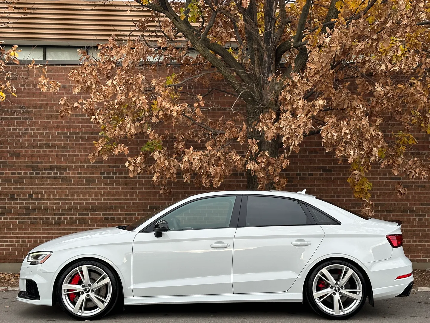 Audi RS3  — photo 8