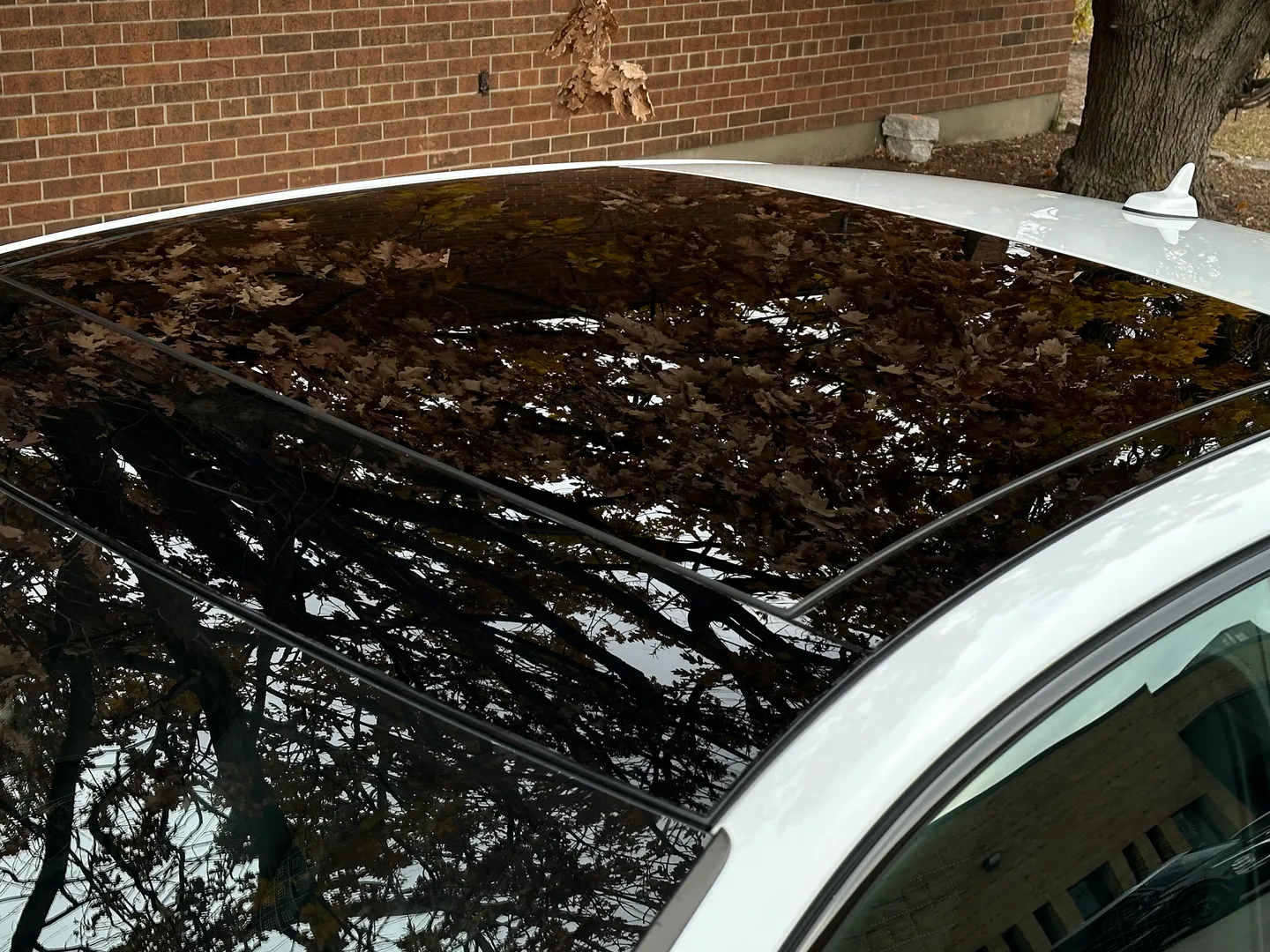 Audi RS3  — photo 13