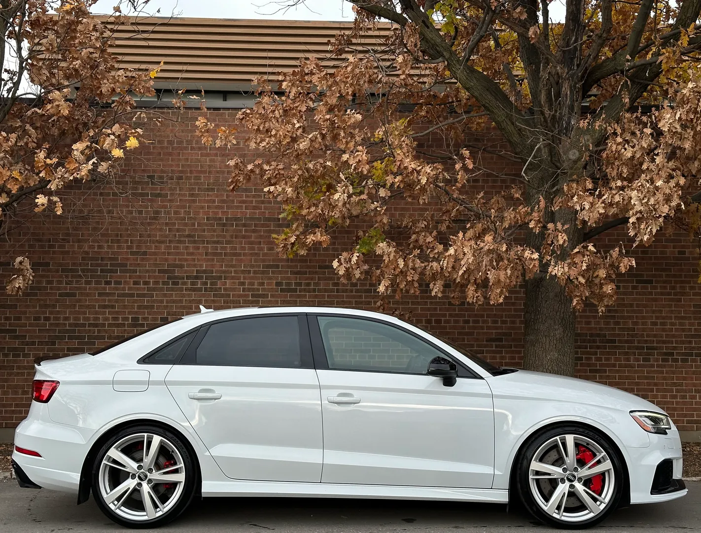 Audi RS3  — photo 77