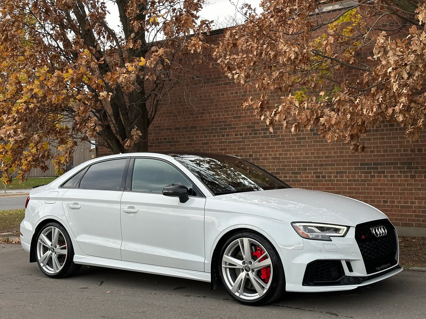 Audi RS3  — photo 80
