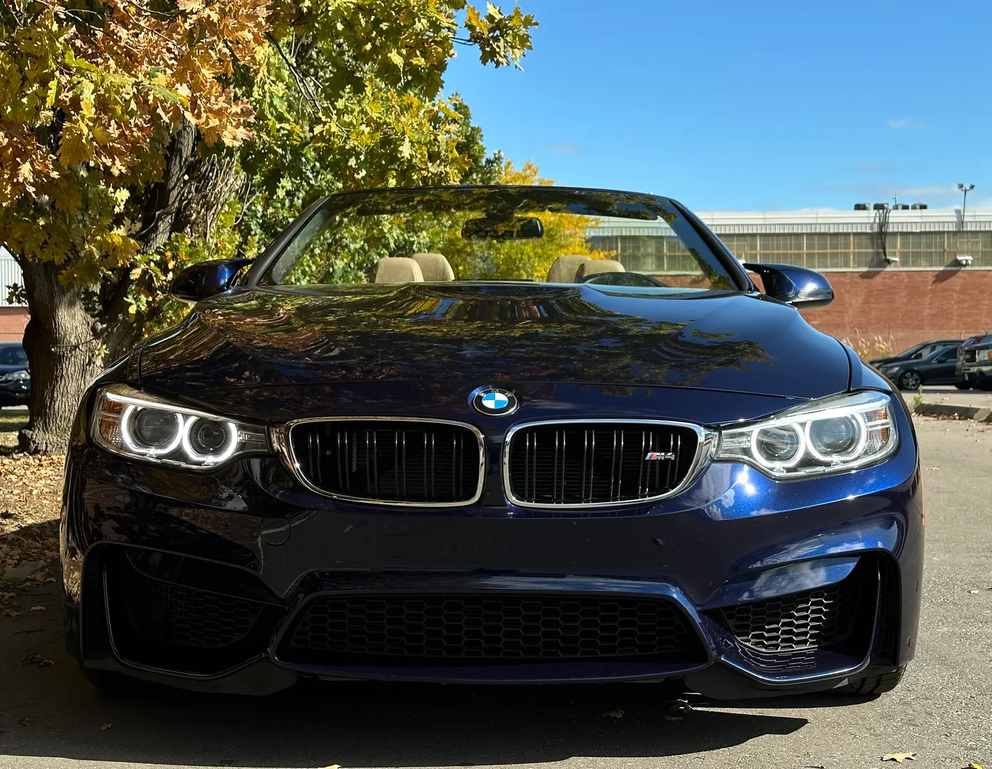 BMW M4 6 Speed Manual Cabriolet — photo 4