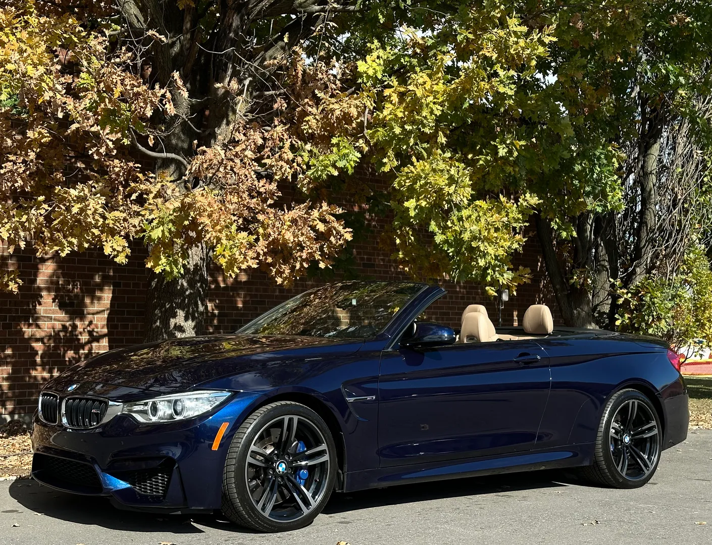 BMW M4 6 Speed Manual Cabriolet — photo 8