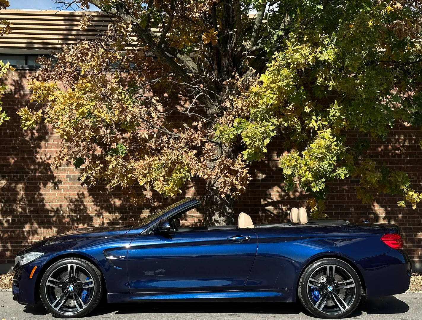 BMW M4 6 Speed Manual Cabriolet — photo 9