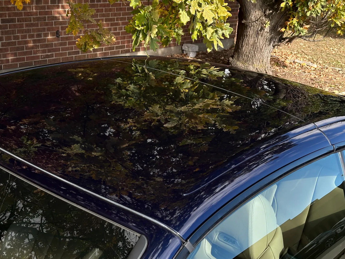 BMW M4 6 Speed Manual Cabriolet — photo 28