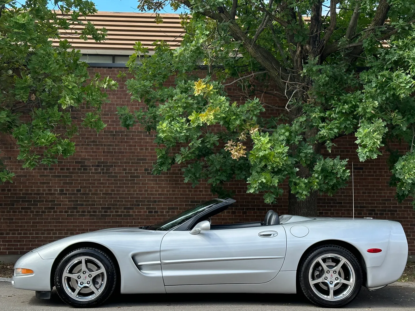 Chevrolet Corvette Convertible — photo 9