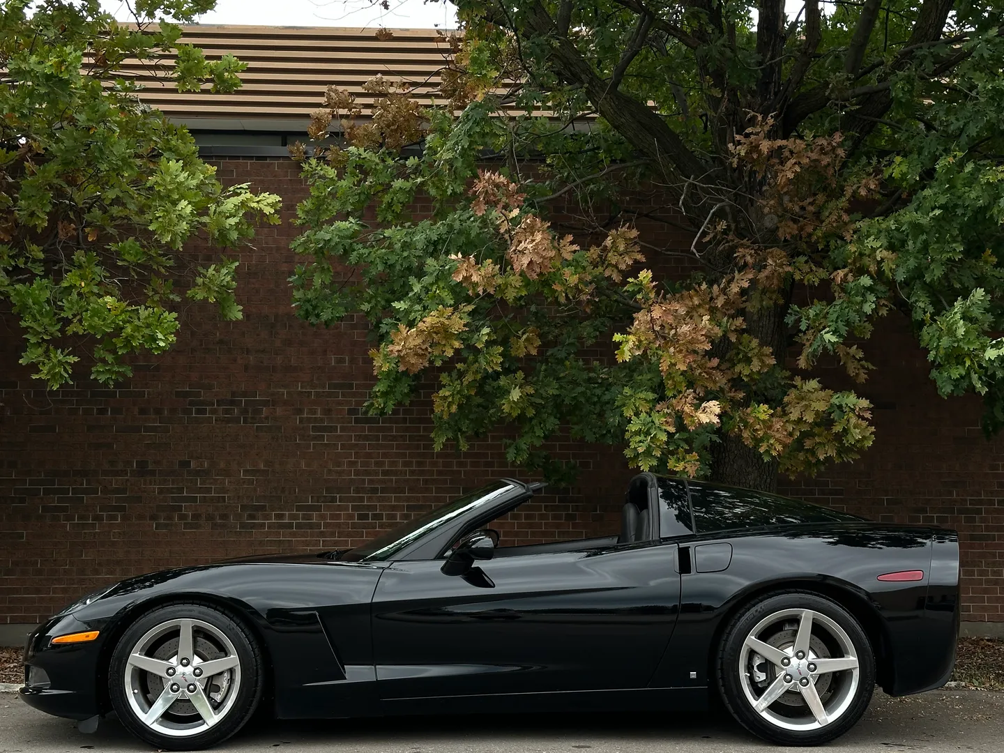 Chevrolet Corvette 6 Speed Manual 3LT Z51 Package — photo 69