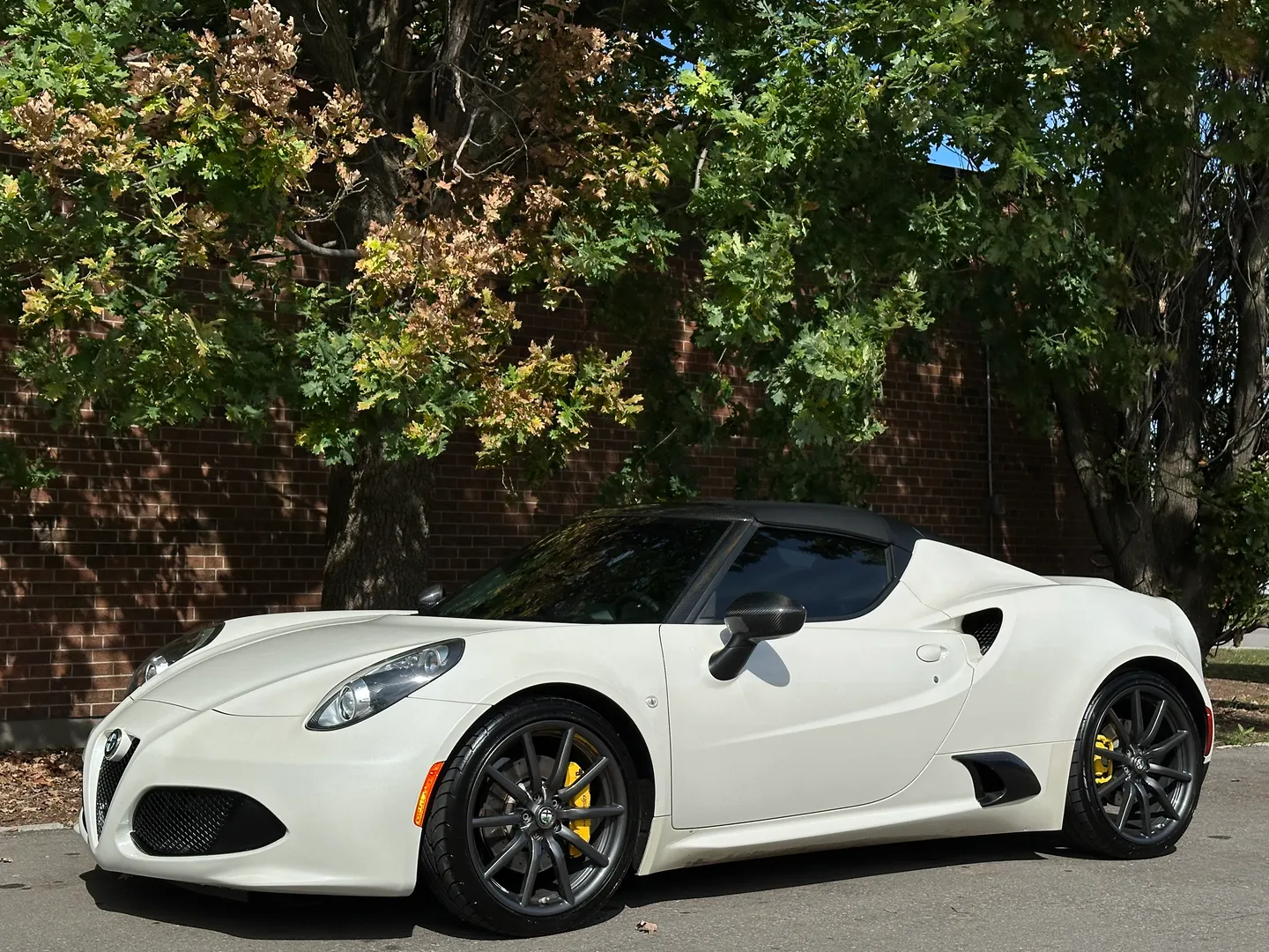 Alfa Romeo 4C Spider — photo 8