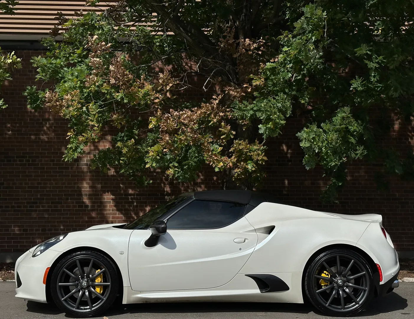 Alfa Romeo 4C Spider — photo 9