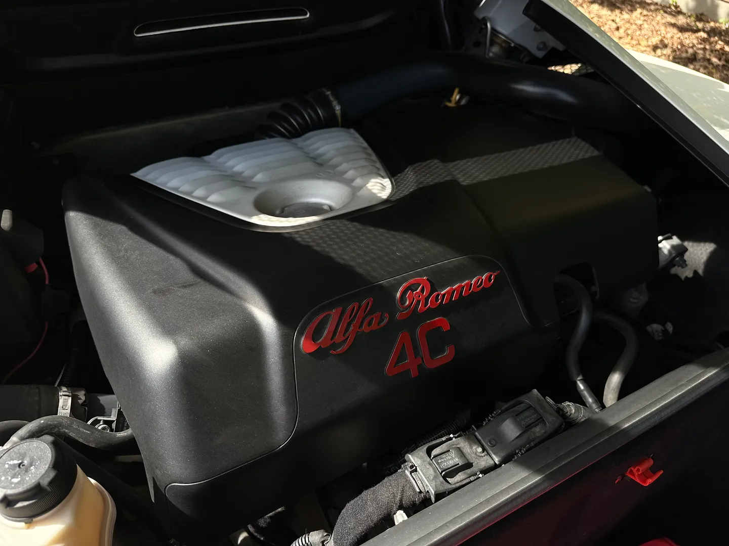 Alfa Romeo 4C Spider — photo 30