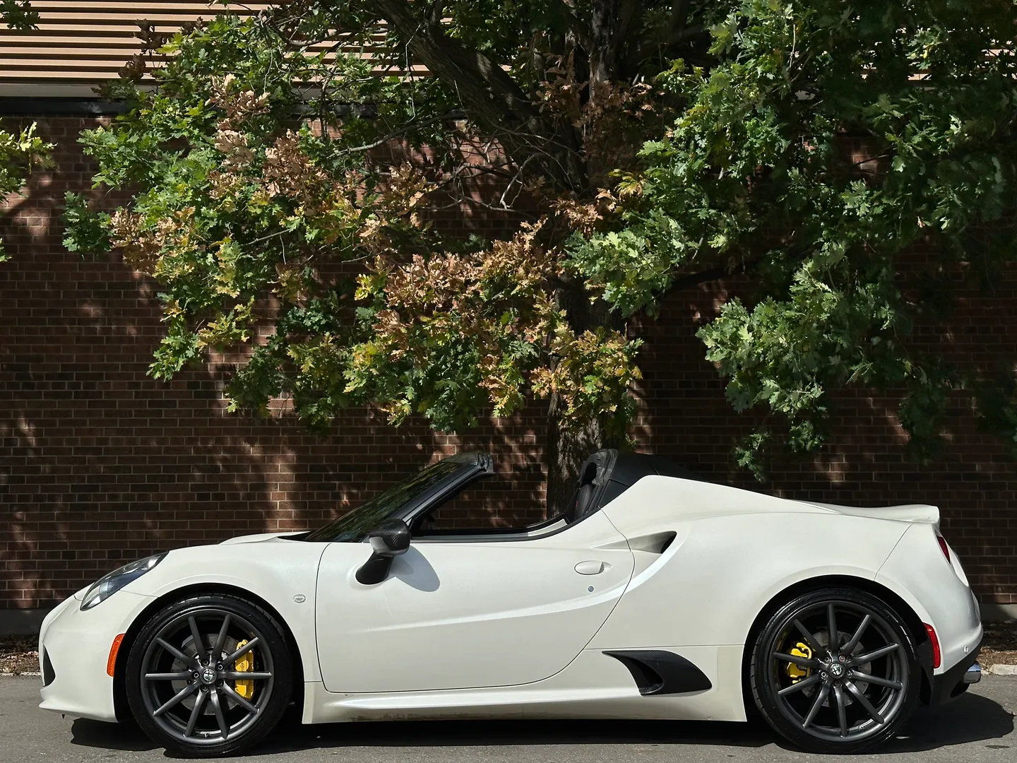 Alfa Romeo 4C Spider — photo 70