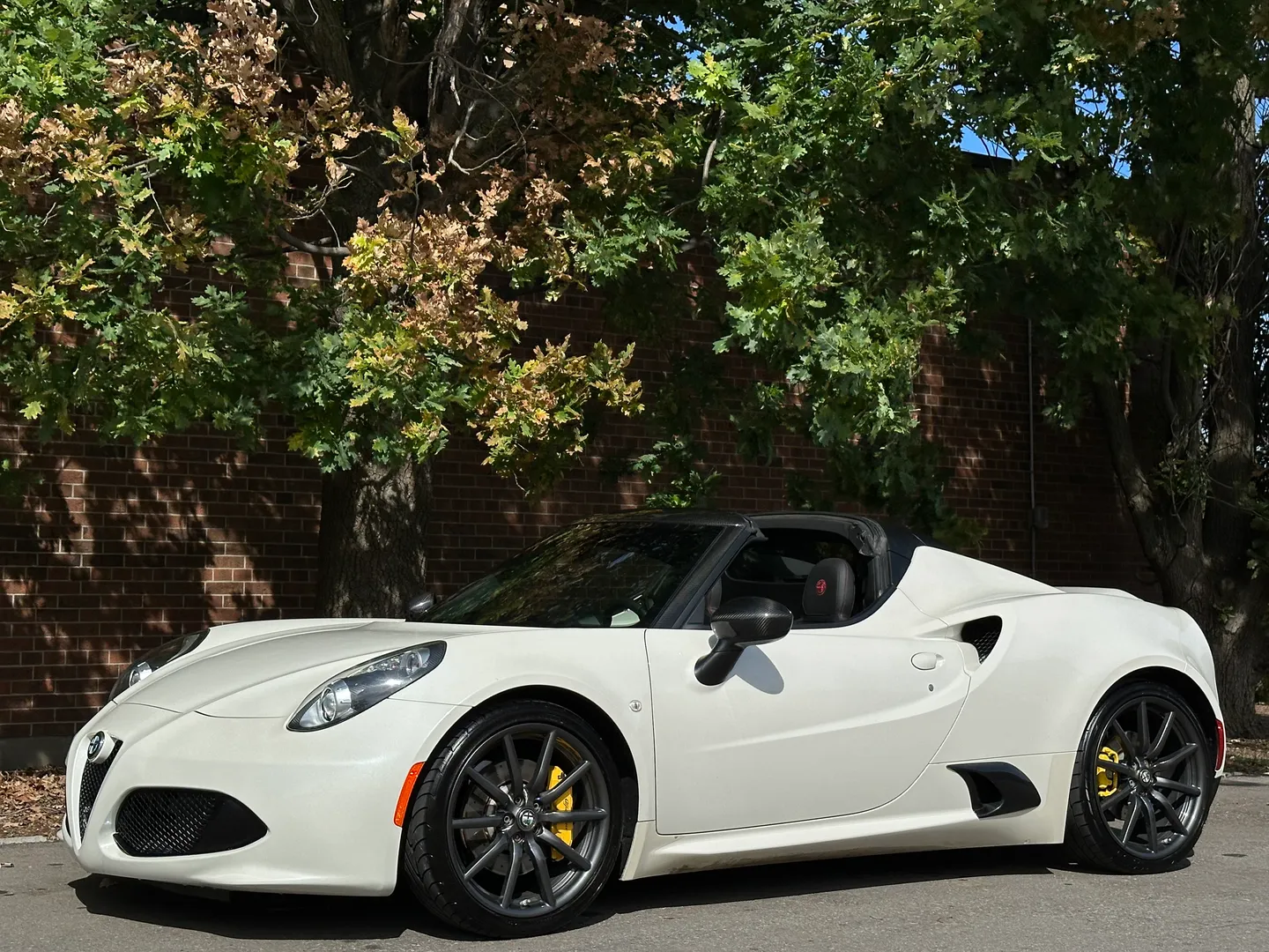 Alfa Romeo 4C Spider — photo 69
