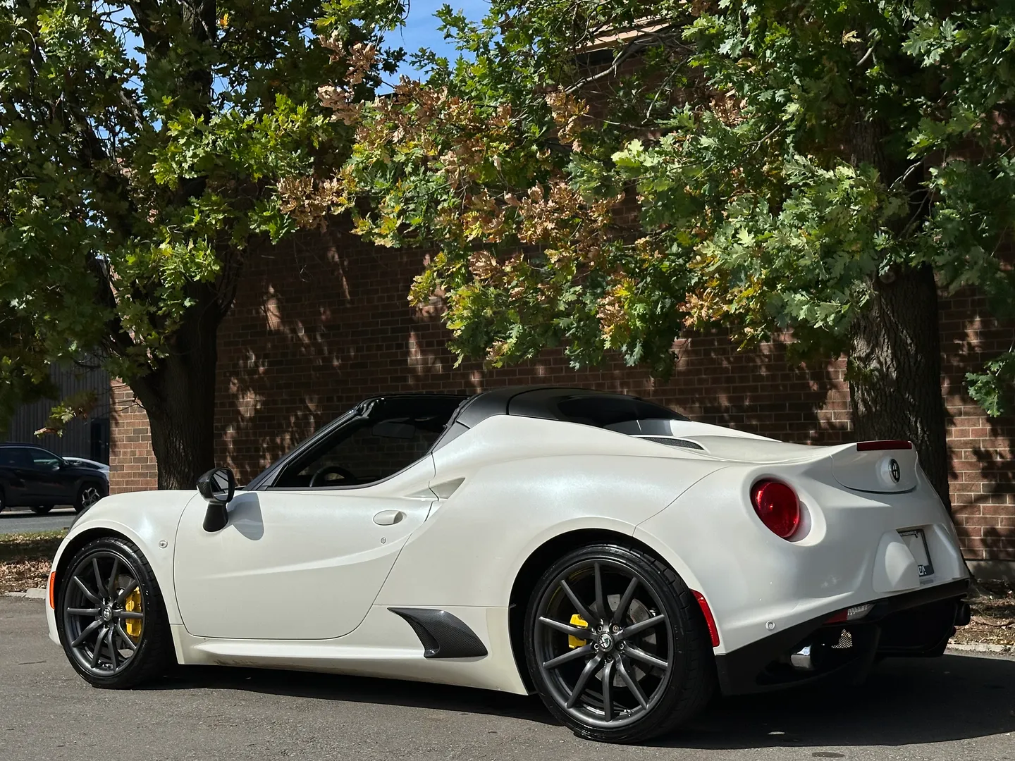 Alfa Romeo 4C Spider — photo 74