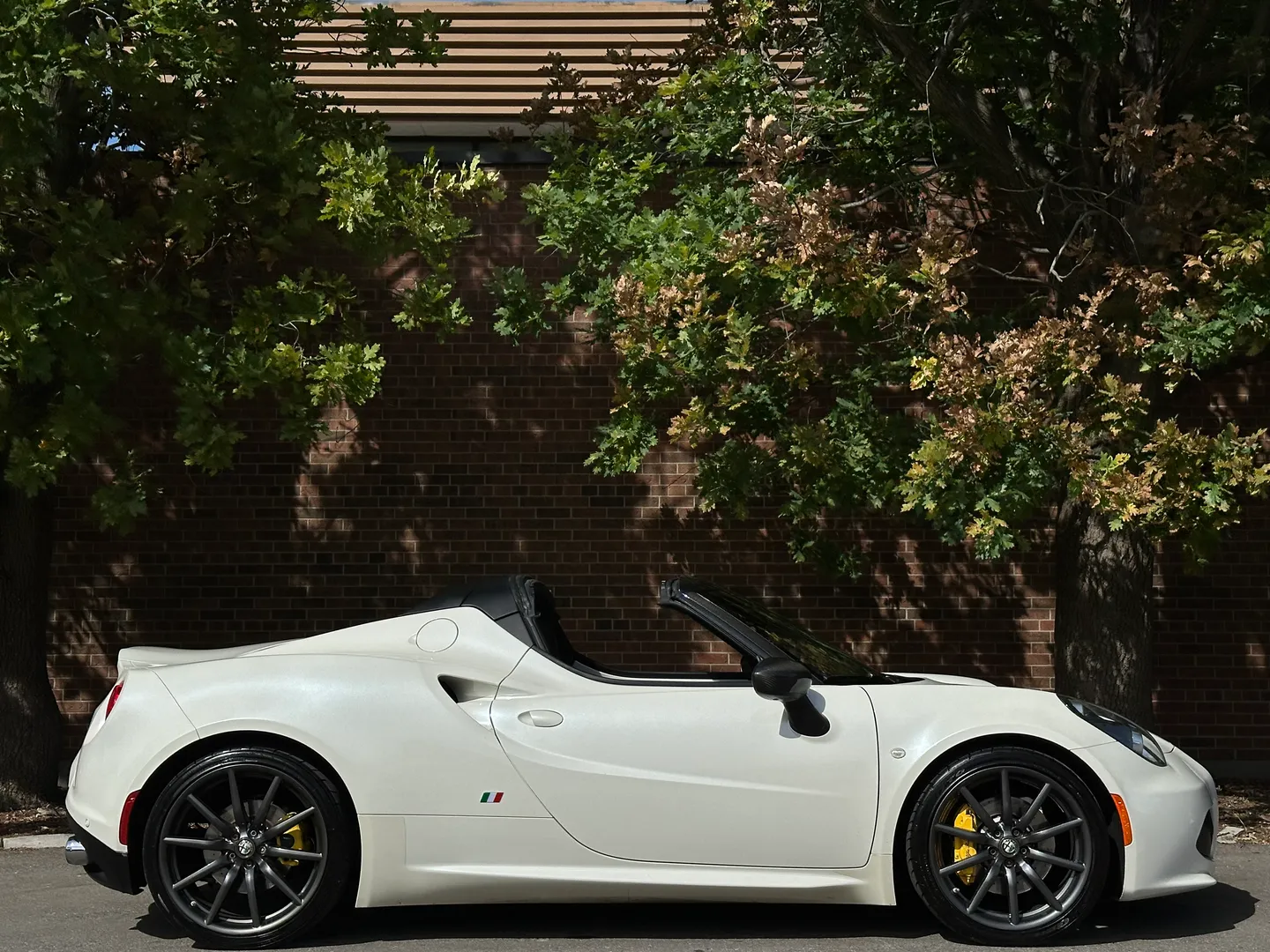 Alfa Romeo 4C Spider — photo 76