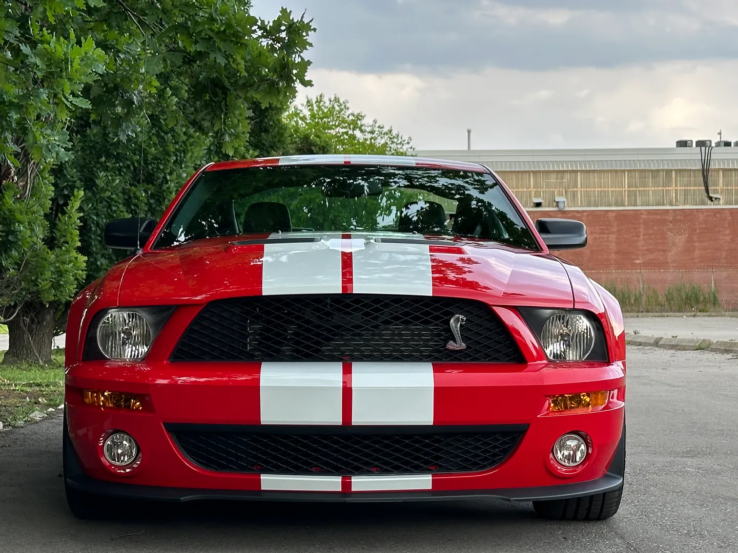 Ford Mustang Shelby GT500 — photo 2