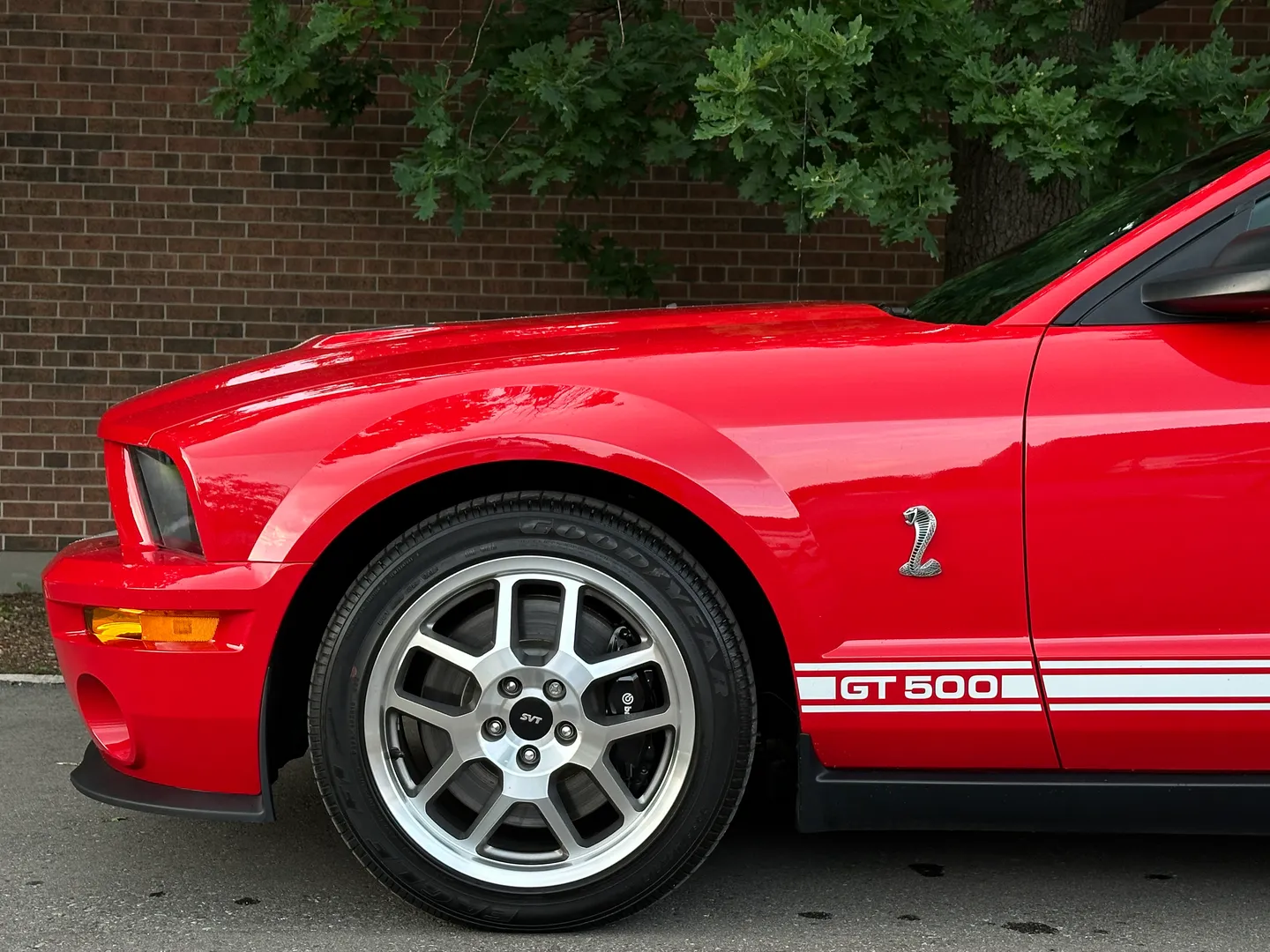 Ford Mustang Shelby GT500  — photo 7