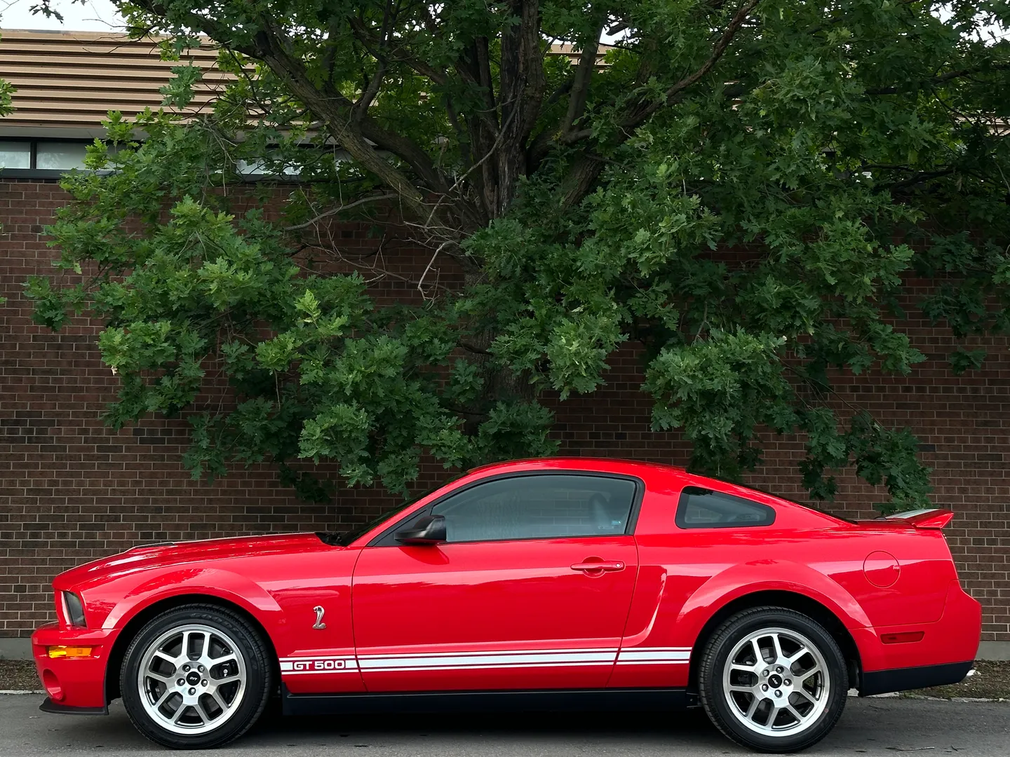 Ford Mustang Shelby GT500  — photo 6