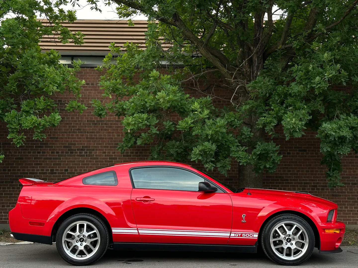 Ford Mustang Shelby GT500  — photo 29