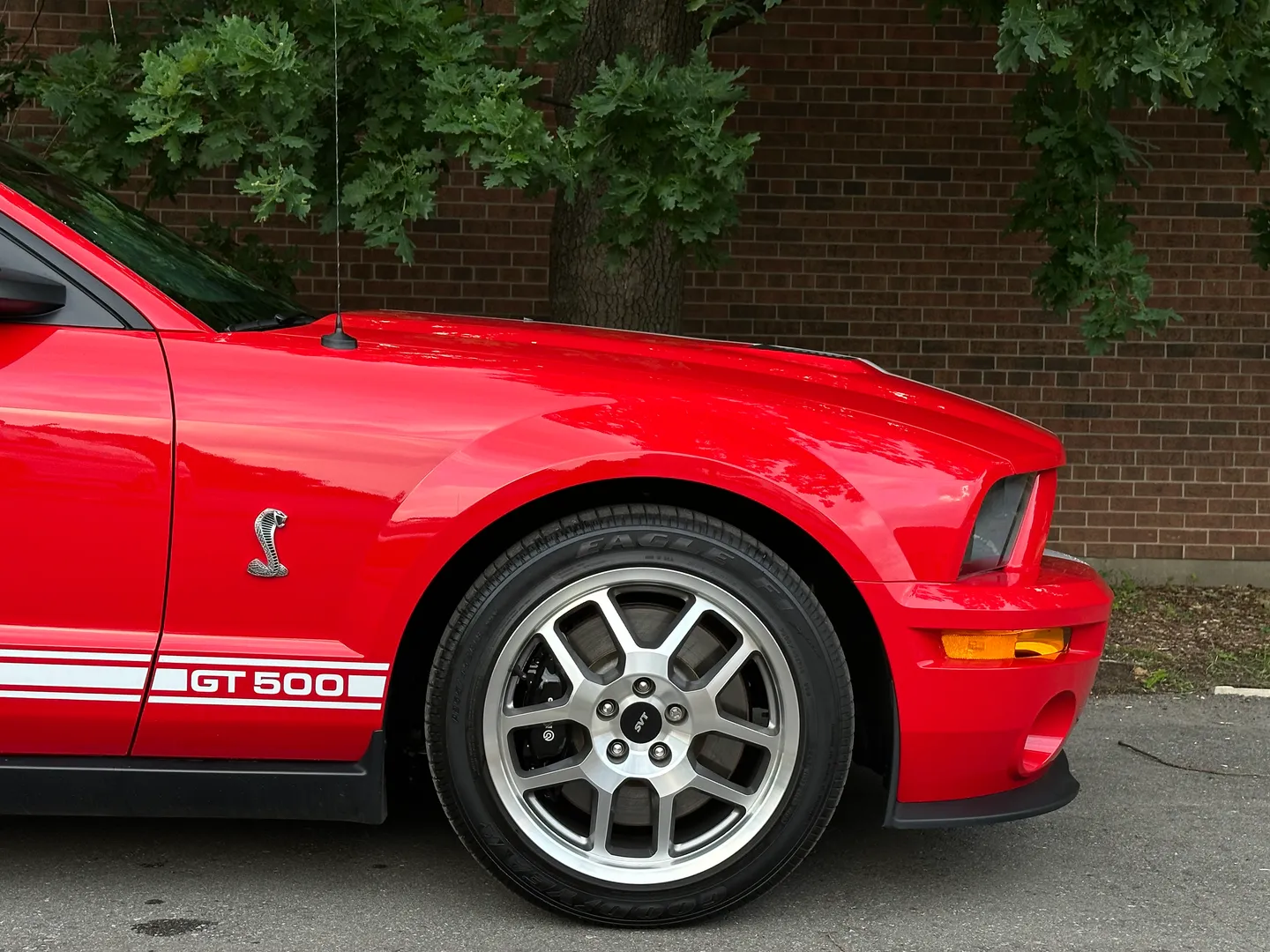 Ford Mustang Shelby GT500  — photo 31