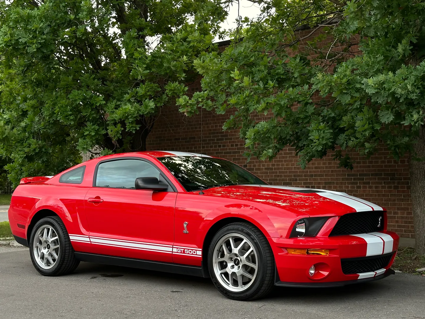 Ford Mustang Shelby GT500  — photo 32