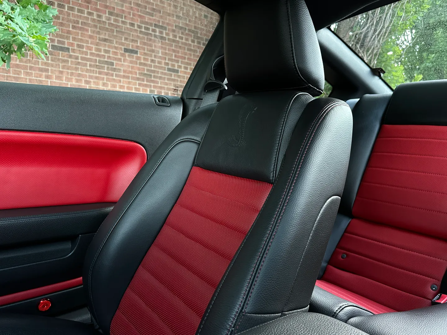 Ford Mustang Shelby GT500  — photo 54