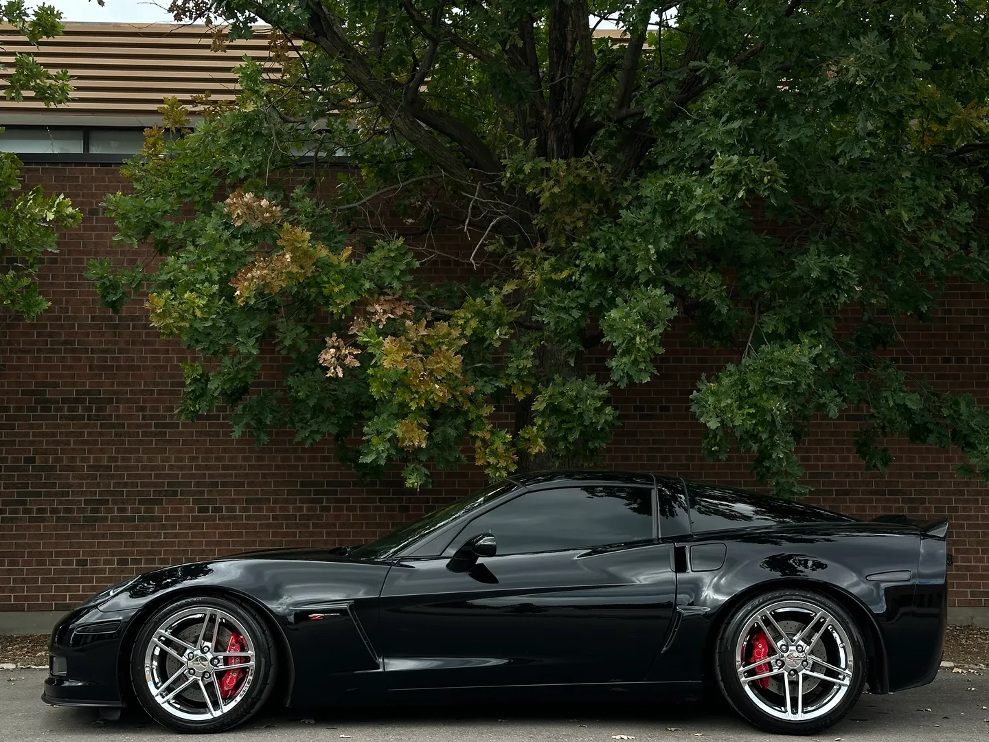 Chevrolet Corvette Z06 — photo 8
