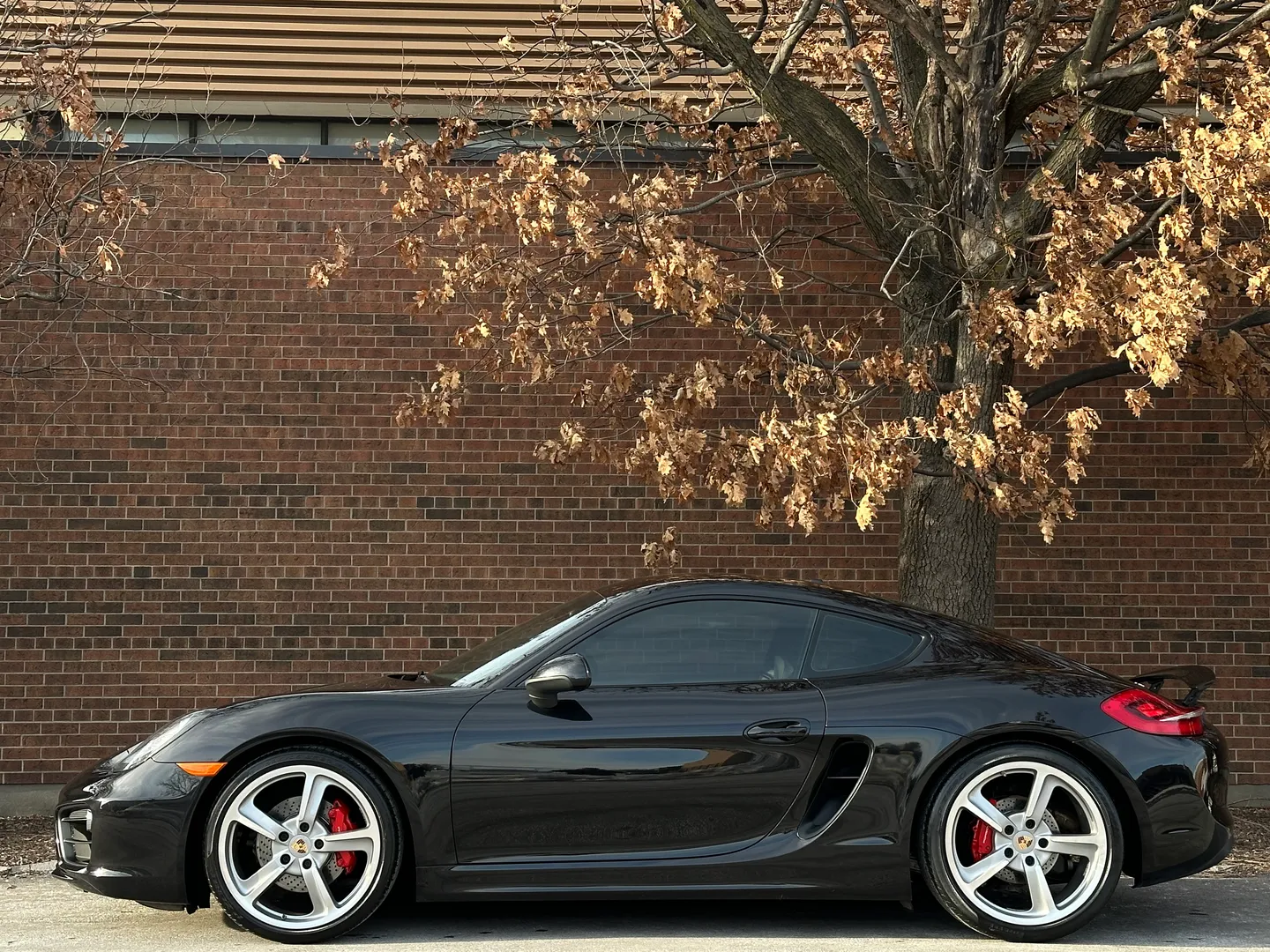 Porsche Cayman S  — photo 10