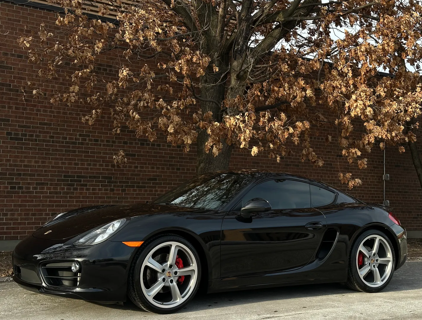 Porsche Cayman S  — photo 8