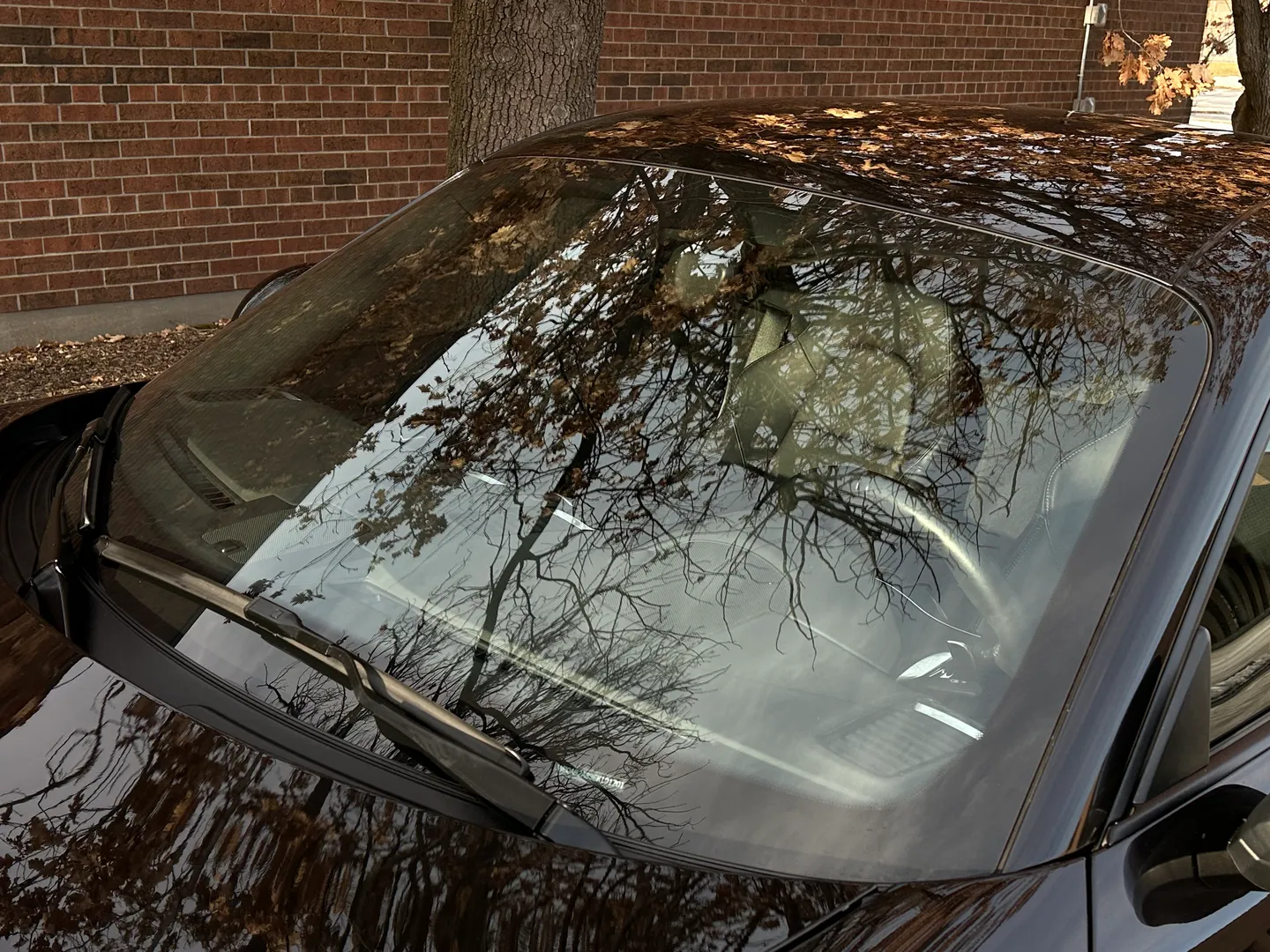 Porsche Cayman S  — photo 15