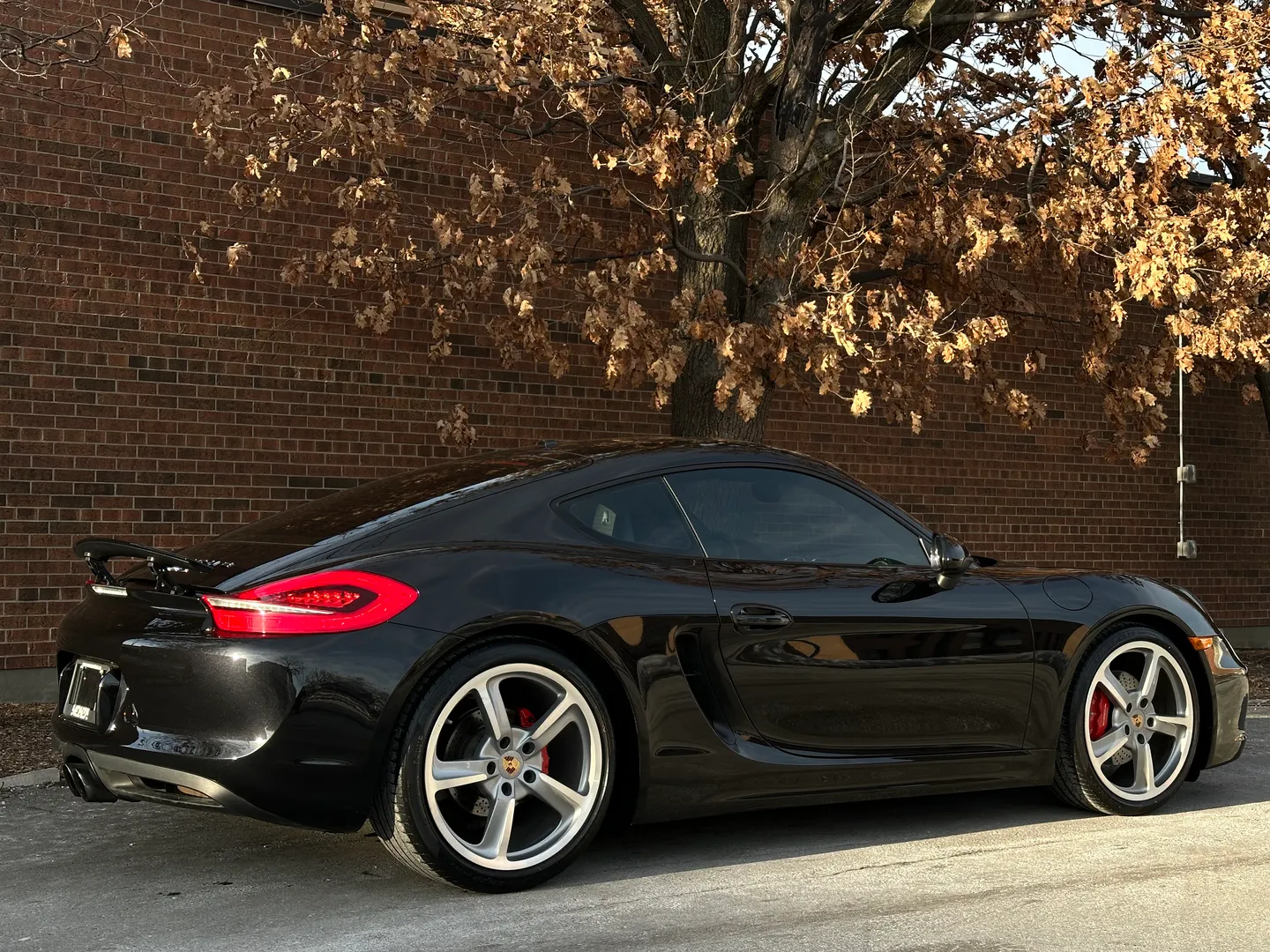 Porsche Cayman S  — photo 71