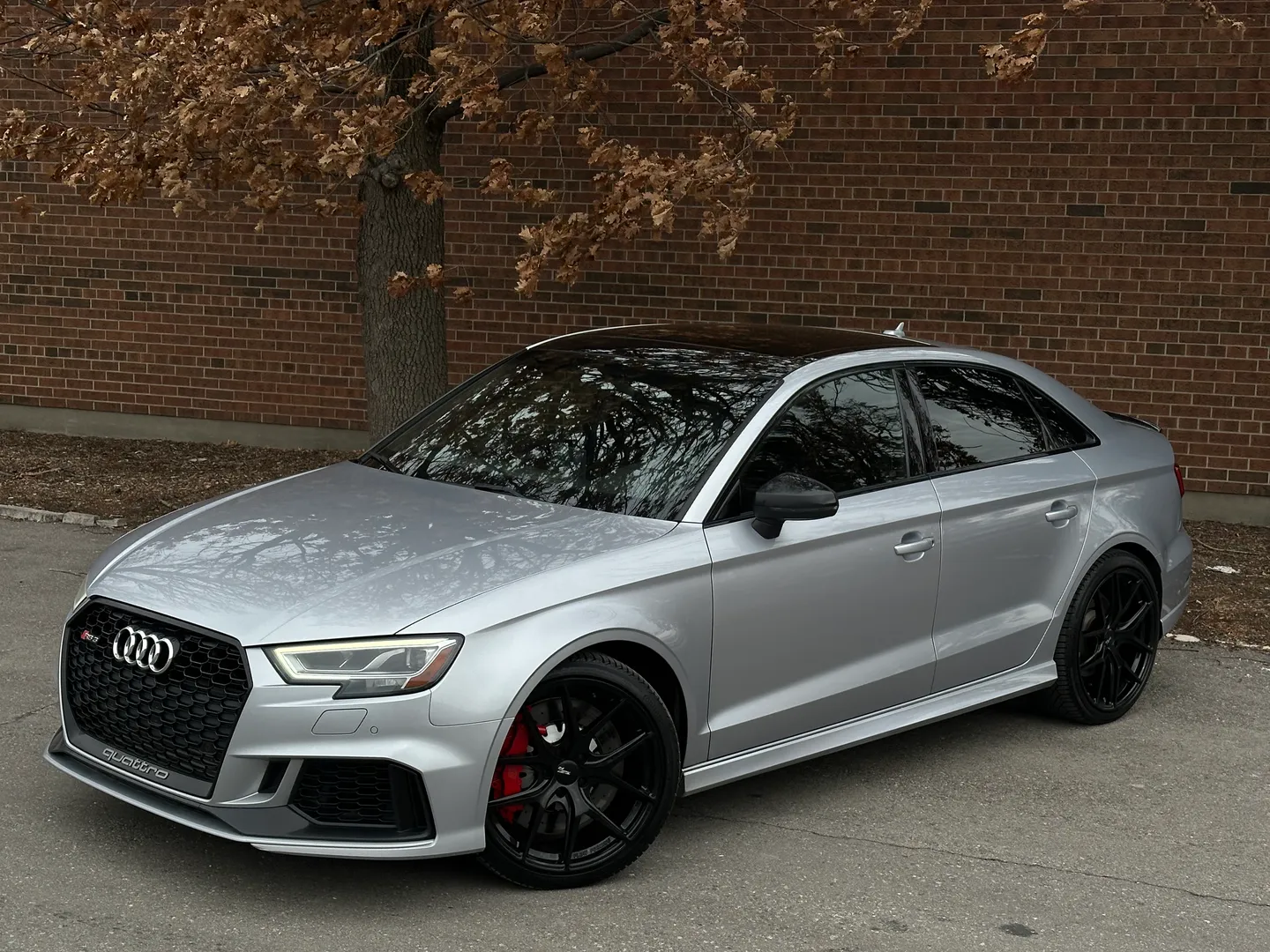 Audi RS3  — photo 2