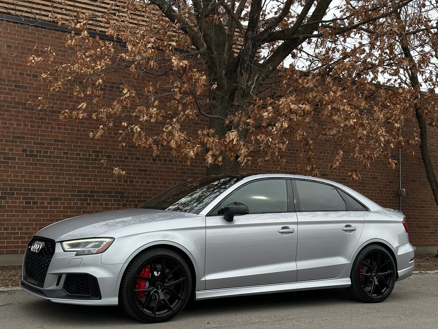 Audi RS3  — photo 8
