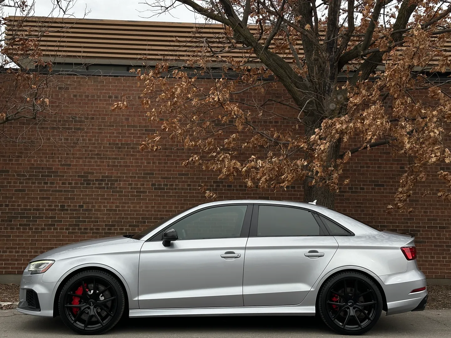 Audi RS3  — photo 10