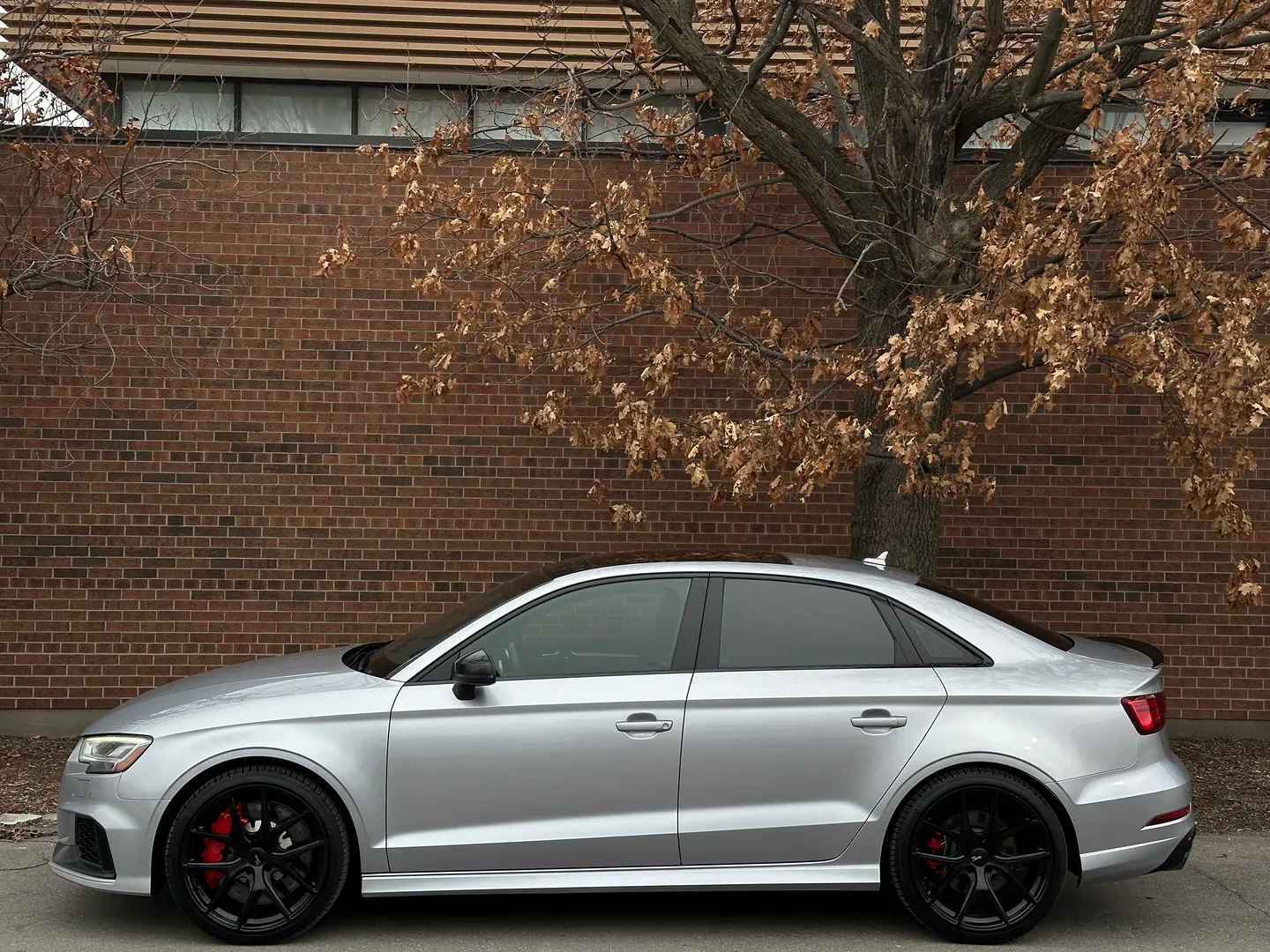Audi RS3  — photo 9