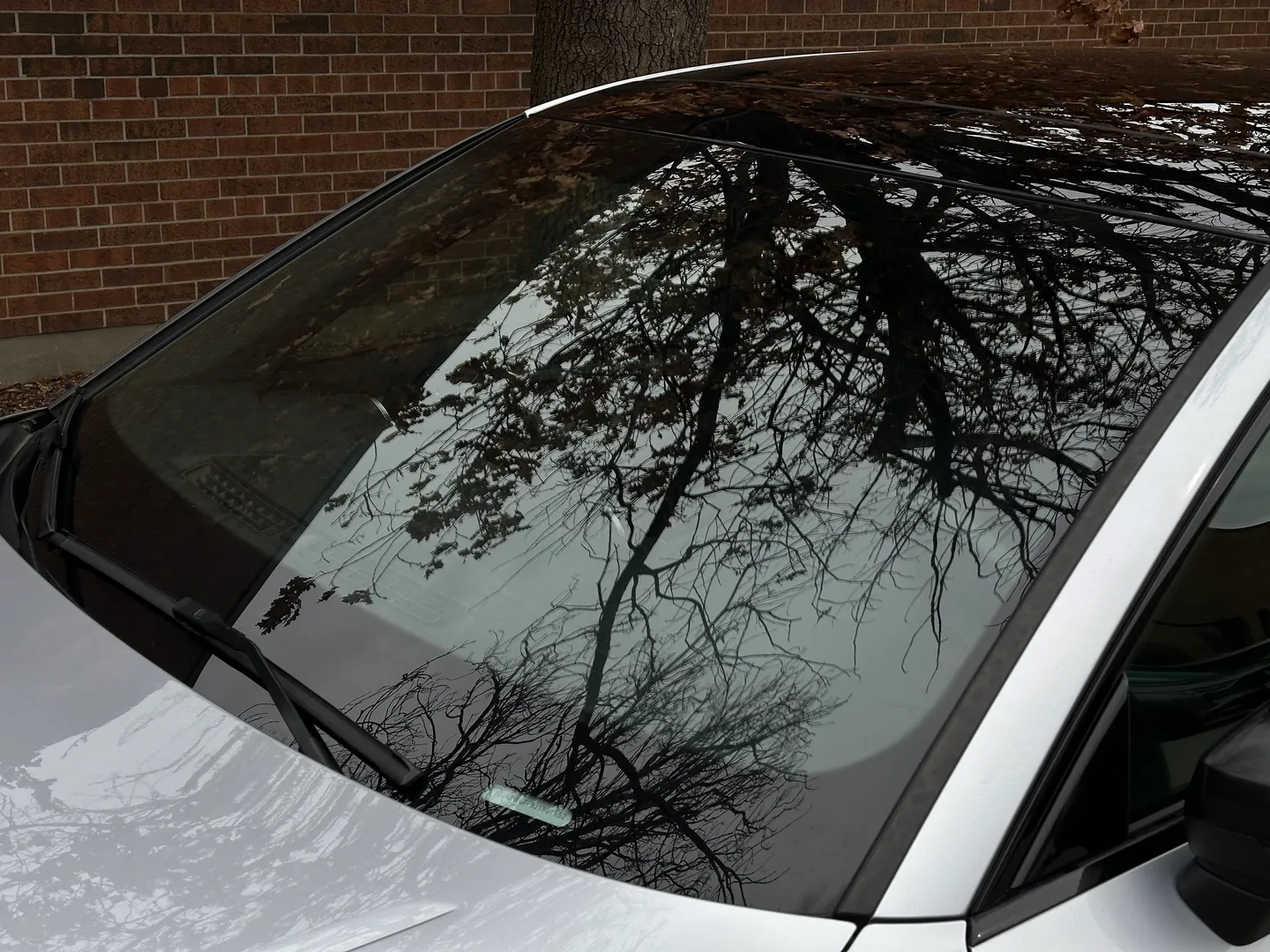 Audi RS3  — photo 15