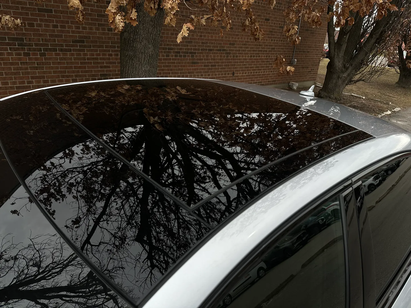 Audi RS3  — photo 18