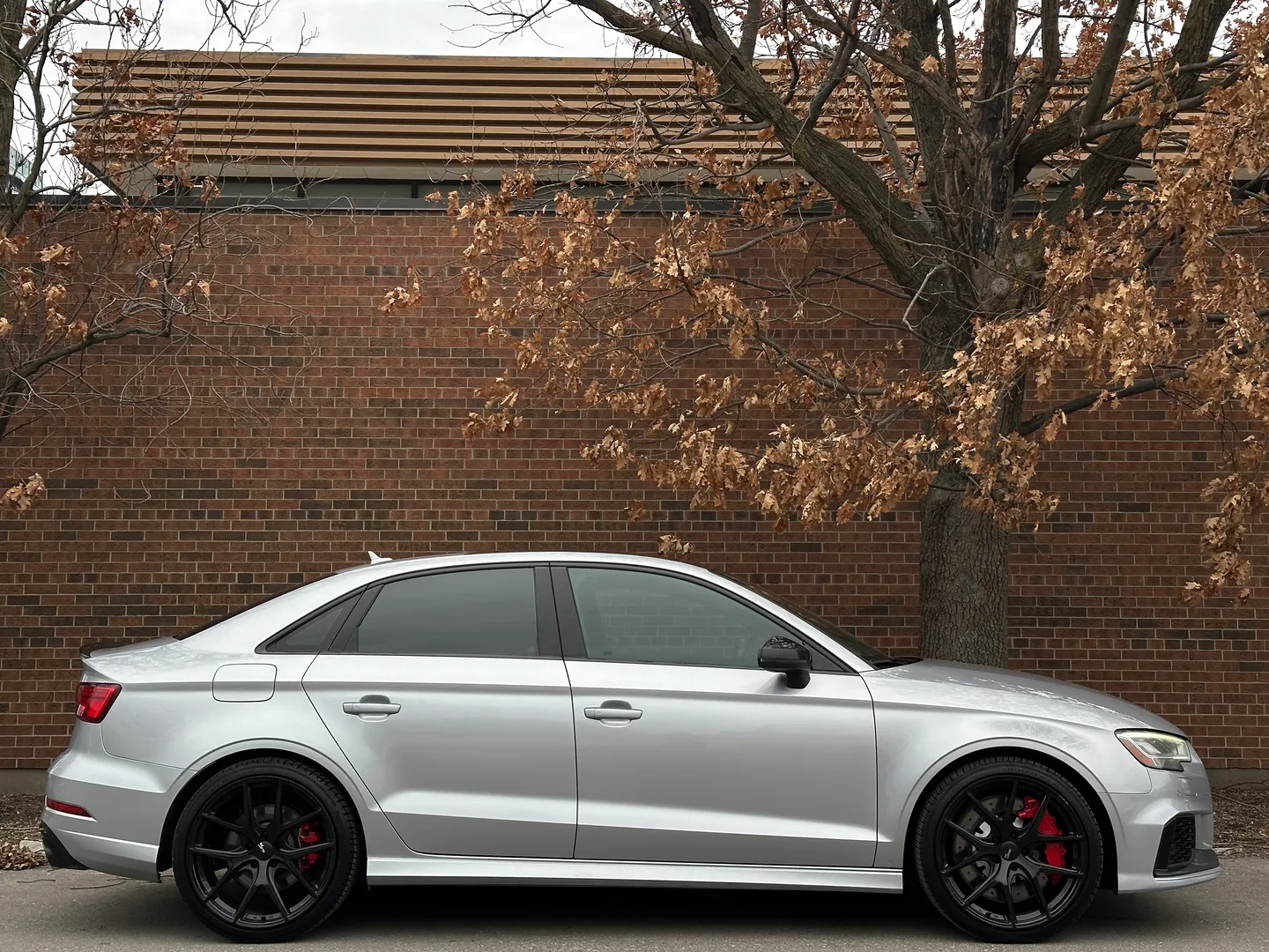 Audi RS3  — photo 81