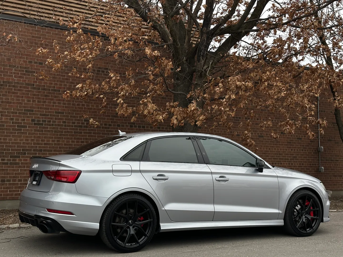 Audi RS3  — photo 80