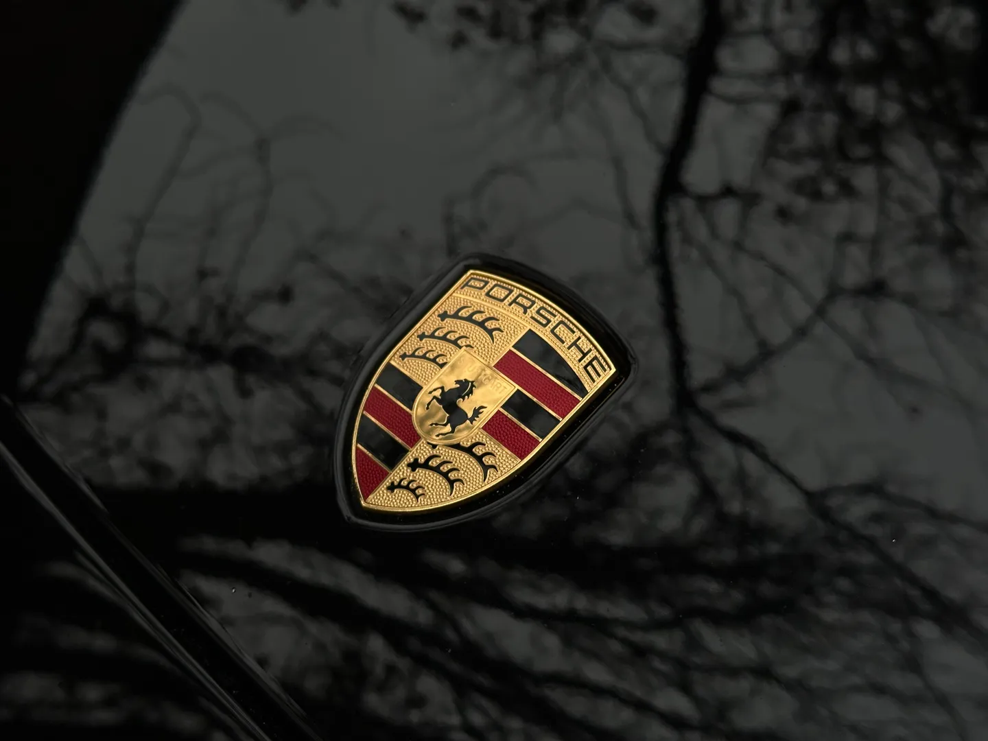Porsche Panamera Turbo — photo 7
