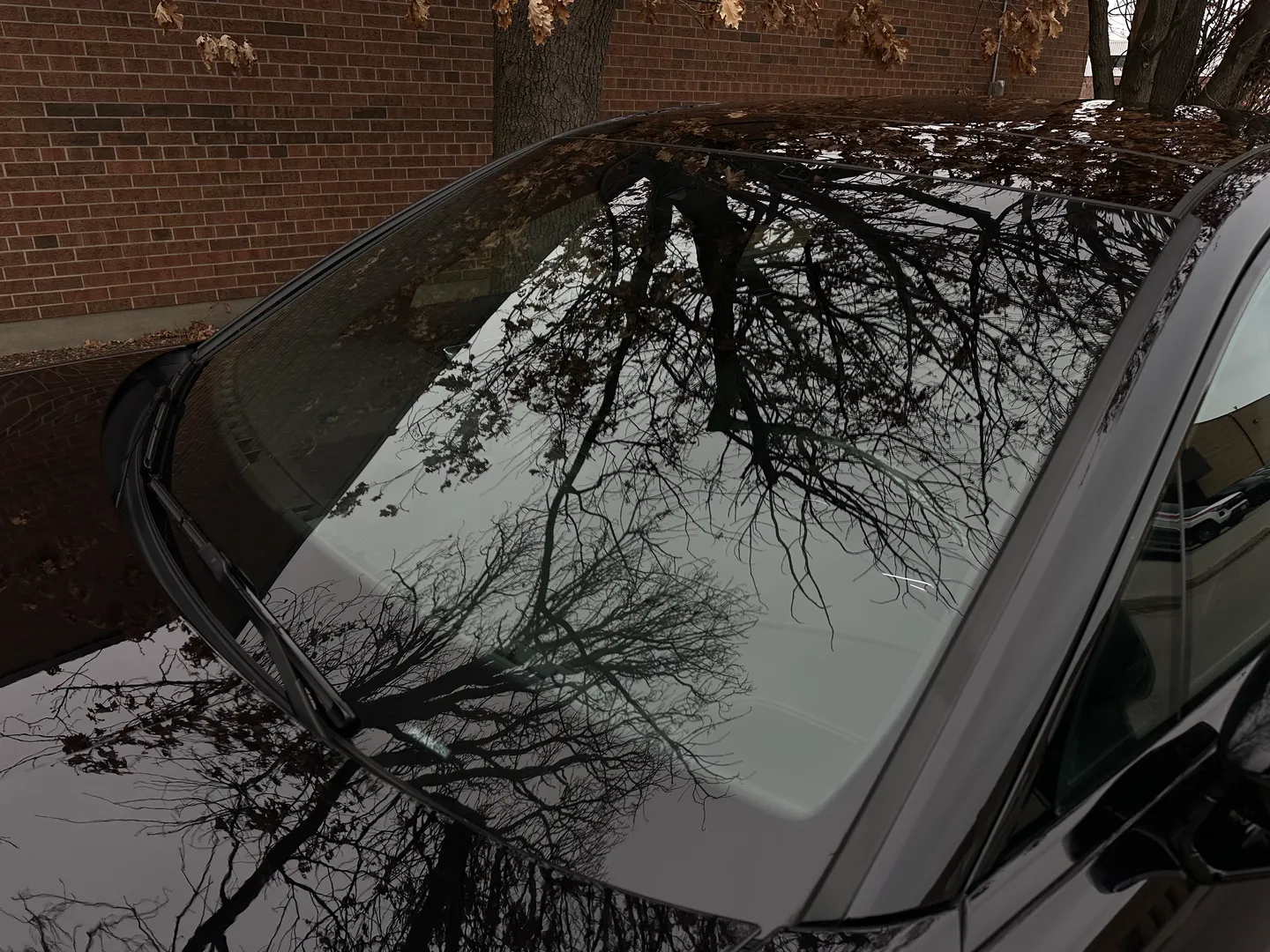 Porsche Panamera Turbo — photo 15